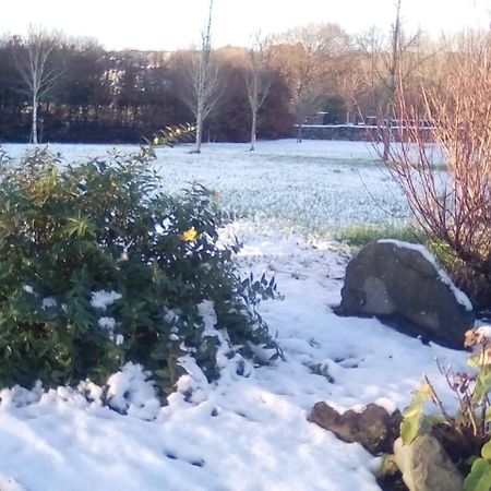 Ashford Haven B&B Cong Exteriör bild
