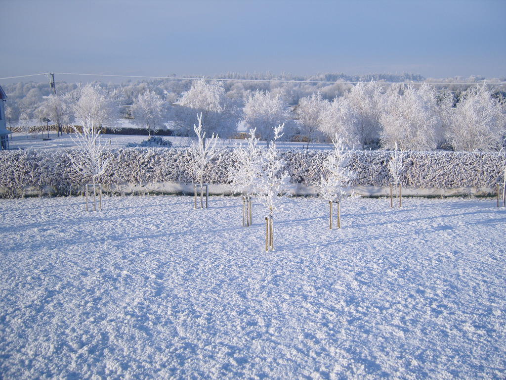 Ashford Haven B&B Cong Exteriör bild