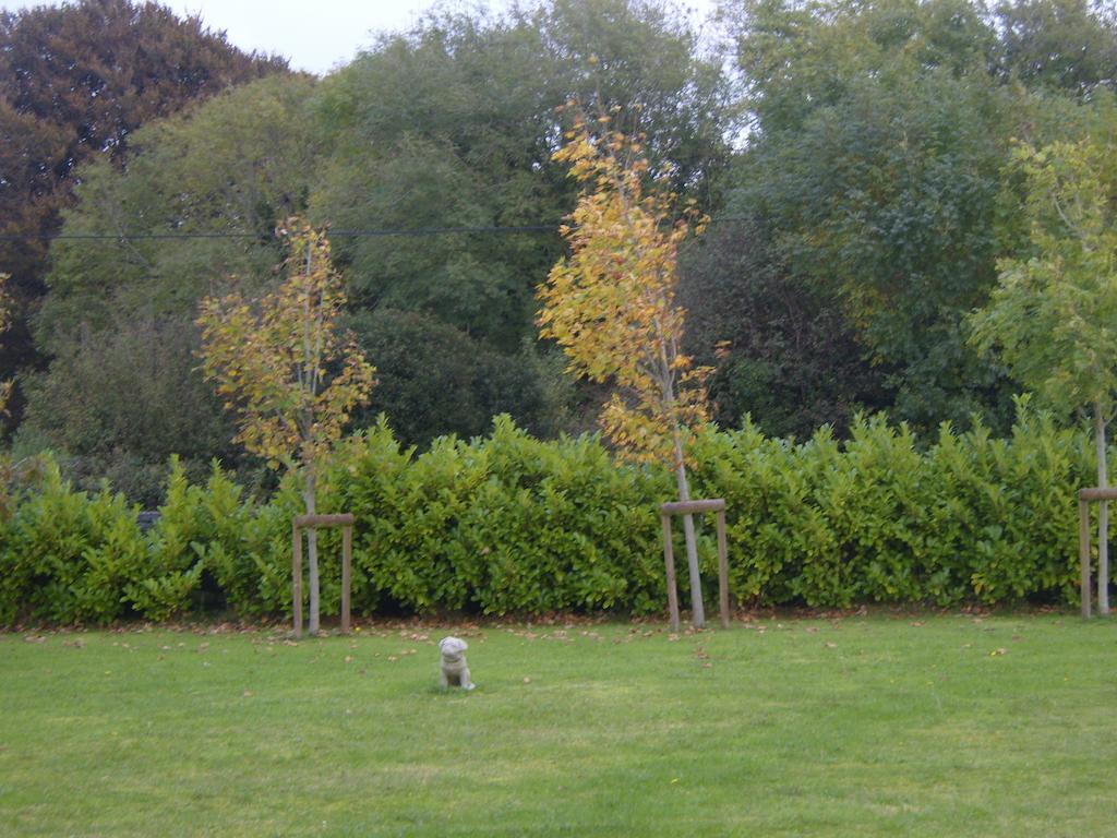 Ashford Haven B&B Cong Exteriör bild
